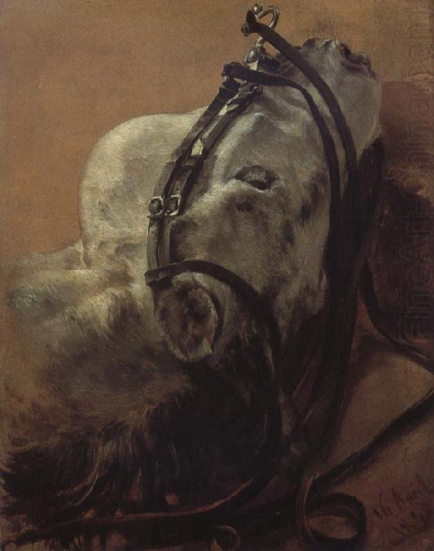 Euine Study,Recumbent Head in Harness, Adolph von Menzel